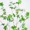 5ft. Potted Artificial Minimalist Enkianthus Tree